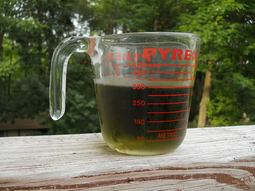 mugwort tea