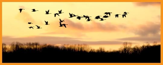 Hunting-Links-banner