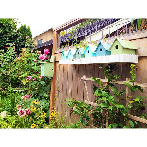 Loving the row of bird houses my dad made for our backyard. #howcuteisthat