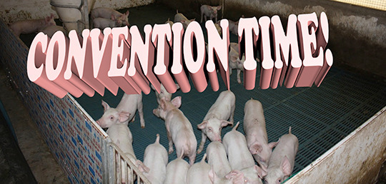 pigfarm