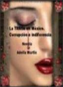 Portada de la novela La Trama de Adelfa Martín