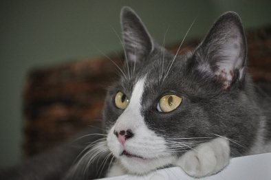 Richard Branson, Who is Richard Branson, Why is Richard Branson famous, Richard Branson’s LinkedIn, Richard Branson Blog, Richard Branson advice, Virgin Group Founder, Who Founded Virgin Group?, Richard Branson How I Hire Focus On Personality, Richard Branson social media, Richard Branson job advice, Personality Test For Job, How to pass a personality test for a job, Interview Tips, What to say in an interview, What are hiring managers looking for, job seekers, company culture, what is company culture, why is company culture so important, who defines a company’s culture, how to know if you fit a company’s culture, how to adapt a winning personality, What kinds of people exceed in the workforce, how to boost confidence, confidence + interviewing, Professionalism + interviewing, curiosity + interviewing , Intuition + interviewing, what makes a person multidimensional, what does it mean to be multidimensional, hiring managers, what are hiring managers looking for, tips for job seeks, business tips, jobs tips, unemployment + interviewing, tips on being present, tips on being dynamic, The Michael S. Robinson Show, MRShow, MSRS, Michael Robinson Show, Michael S. Robinson, Mike Robinson, Mike S. Robinson, One Hundred Pennies, AM970 The Answer, New York Staffing Services, job interview, job search, post interview, what to do post interview, small business, interview techniques, Carla Harris Morgan Stanley, Who is Carla Harris, Carla Harris author, Carla Harris singer, Mary Ellen Slayter monster.com, Who is Mary Ellen Slayter, Mary Slayter, Mary Ellen Slayter Reputation Capital, Kahain Krippendorff, Kahain Krippenfoff author, Outthink the Competition, Kahain Krippendoff business strategy, 