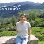 Sandra Bornstein Cover -Munnar- stop on way to hill station