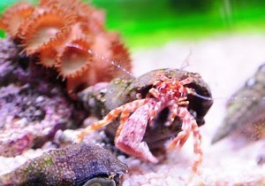 Me...when something keeps me from writing.