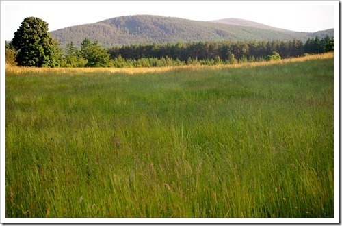 13 July 1 07-07-2013 18-26-18