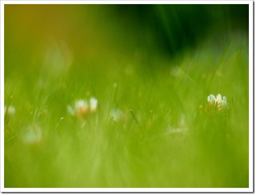 13 July 3 06-07-2013 11-15-39