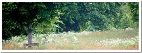 13 July 3 25-06-2013 16-22-47