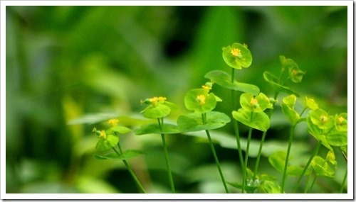 13 July 4 03-07-2013 11-42-21