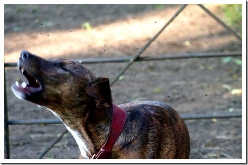 13 July 7 07-07-2013 18-20-28