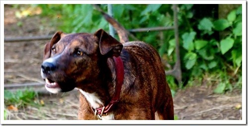 13 July 8 07-07-2013 18-20-57