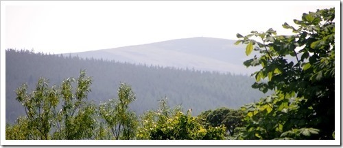 13 July 20 11-07-2013 12-25-24