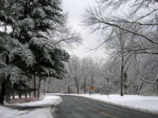 Winter road