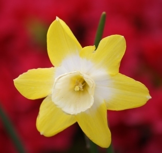 Post image for Friday List of Writer Resources