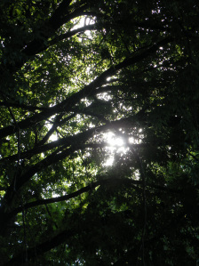 SAMSUNG DIGITAL CAMERA