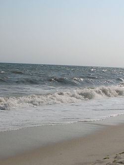 Smith Point Beach, Long Island, NY This file is licensed under the Creative Commons Attribution 3.0 Unported license.