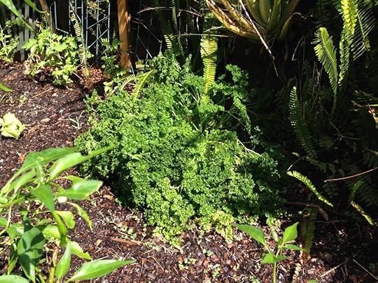Parsely 