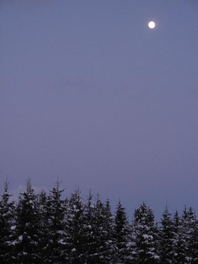 Moon Over Trees, Postcard