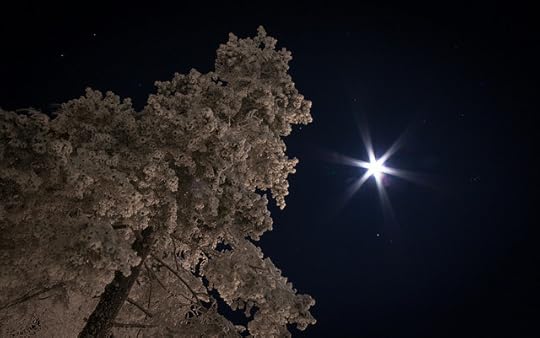 When you wish upon a star