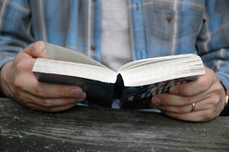 Reading (© Jenny Rollo)