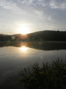 SAMSUNG DIGITAL CAMERA