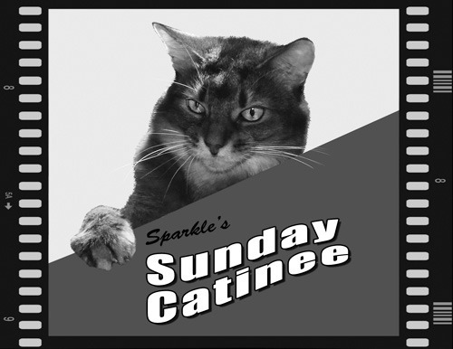 Sparkle's Sunday Catinee