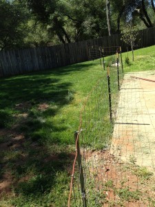 fence