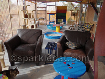 Who DOESN'T know this catio?
