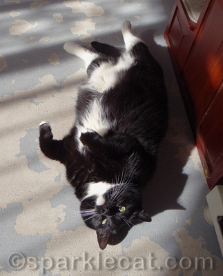 Catching some awesome rays!