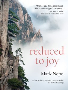 ReducedToJoy