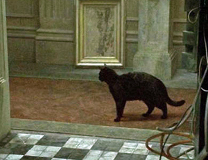 MatrixCat