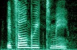 300px-Human_voice_spectrogram