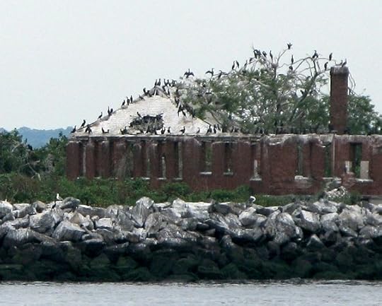 Swinburne Island