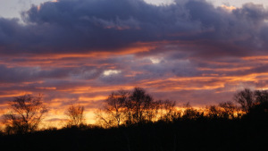 Click picture to enlarge