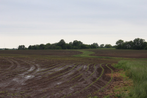Mem Day Farm 018