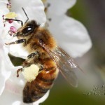 Working for a living