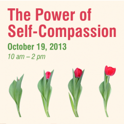 Power of Self-Compassion, Toronto