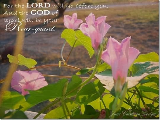 RearGuard_MorningGlory