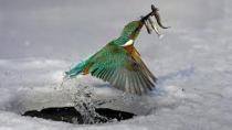 images-1