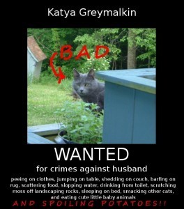 Bad Katya