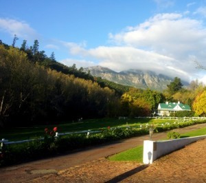 Because everything looks like this - the drive into our guesthouse