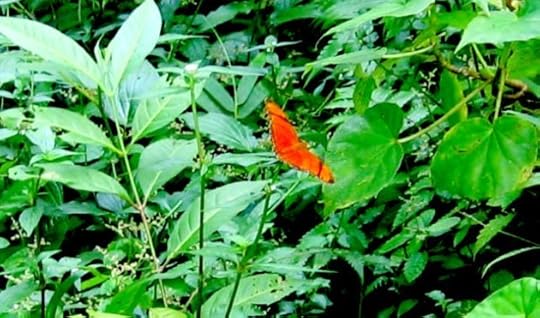 05.12.13 Fear Blog No Words