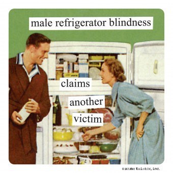 Anne Taintor magnets-male-refrigerator-blindness-claims-another