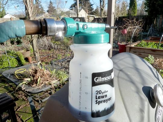 Ready to spray the tree for blight, with hose attached to the applicator