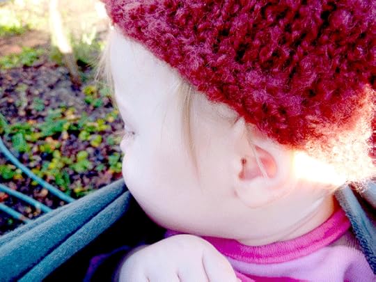 My garden helped, Juniper, along for the ride in the baby wrap