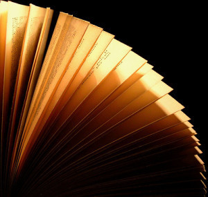 The Inside Scoop on Self-Publishing a Book