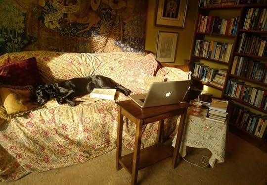 Once upon a time there was a little black dog...