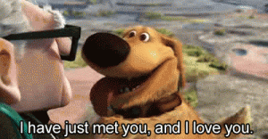 Four Things My Dog Taught Me about Healthy Relationships