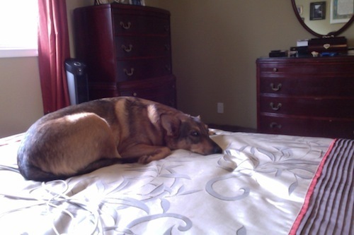 Duchess_on_Bed_Eve_Silver