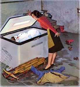 Xmas Freezer