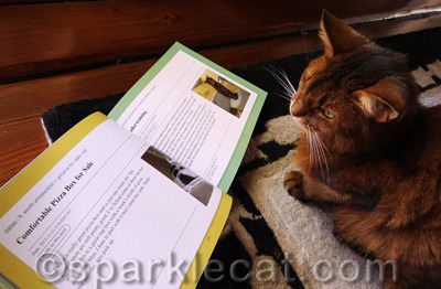 I love checking out good books!